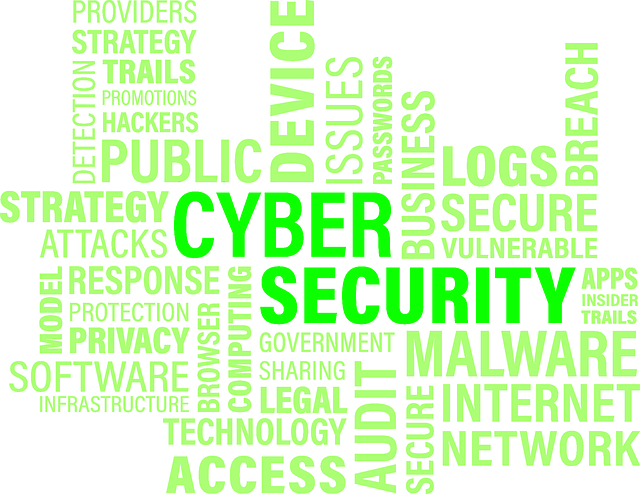 Cyber security and related terms